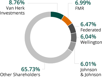 Major shareholders on 31 December 2015 (pie chart)